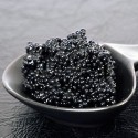 Caviar Sterlet